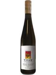 Vican Muškát moravský 2025 (id:910002702)