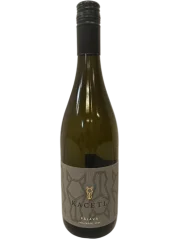 Kacetl Pálava Polosladká 2024 (id:910002448)