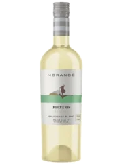 Morande Pionero Sauvignon Blanc 2019
