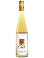 Vican Kienberg Frizzanté 2023 (id:910001014)