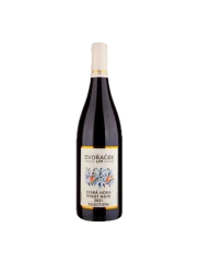 Dvořáček Pinot Noir Výběr z hroznů 2021 (id:910003448)