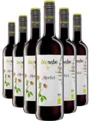 Set Biorebe Merlot 4+2 (id:910003662)