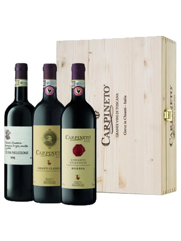 Gallo Nero selekce vín apelace Chianti Classico (id:68298)