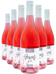 Pod Hradem Set bublinek 5+1 - Zweigeltrebe frizzanté 2021 (id:910000303)