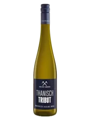 Thanisch Riesling Grauschiefer Tribut 2021