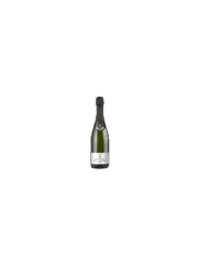 Champagne Paul Chambois Brut (id:910003324)