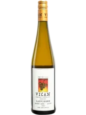 Vican Sauvignon Pozdní sběr 2024 (id:910002424)