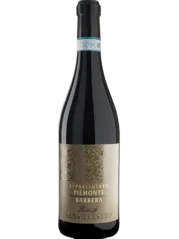 Sansilvestro Barbera Passito 2022 (id:68628)