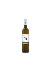 Kněží Hora Sylvánské zelené Výběr z hroznů 2023 (id:910003294)