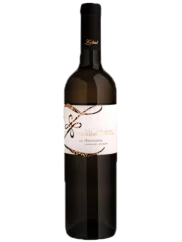 Zapletal Sauvignon 2022 (id:910000192)
