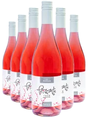 Pod Hradem Set bublinek 5+1 - Zweigeltrebe frizzanté 2021 (id:910000303)