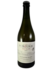 Vykoukal Sauvignon blanc 2020 (id:910000063)