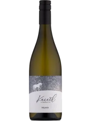 Kacetl Pálava 2023 (id:910001121)