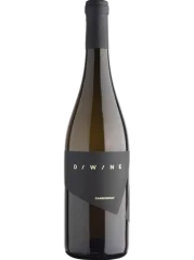 Diwine Chardonnay Pozdní sběr 2024 (id:910002106)