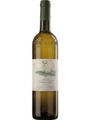 Costa di Bussia Chardonnay 2023 (id:68615)