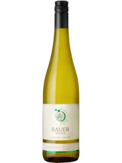 Bauer Chardonnay Ried Haidberg 2023 Bio (id:62495)