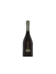 Prosecco Nani Rizzi Valdobbiadene Extra Dry (id:910003326)