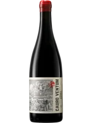 Saura Cauro Ventum 2021 (id:910002878)