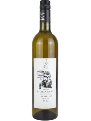 Drmola Chardonnay Pozdní sběr BIO 2022 (id:910000856)