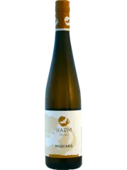 David Harm Muscaris 2023 (id:62235)