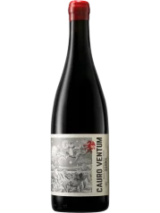 Saura Cauro Ventum 2021 (id:910002878)