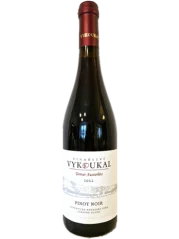 Vykoukal Pinot Noir 2022 vinisto PLUS+