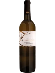 Zapletal Pálava Pozdní sběr 2023 (id:910001758)