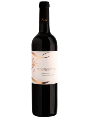 Zapletal Neronet 2019 (id:910000212)