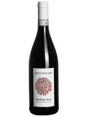 Tenuta Fontecaime Montefalco Rosso 2018