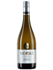 Nečas Hibernal Pozdní sběr 2022 (id:910001918)