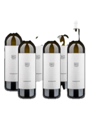 Fabig BIG Sauvignon Collection 2017-2023 (id:910002197)