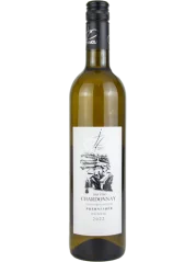 Drmola Chardonnay Pozdní sběr BIO 2022 (id:910000856)