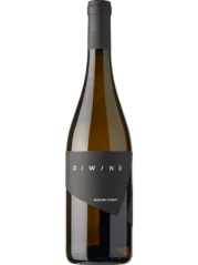 Diwine Ryzlink rýnský Pozdní sběr 2024 (id:910002104)