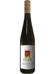 Vican Muškát moravský 2024