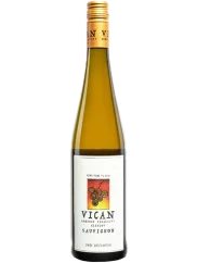 Vican Sauvignon Pozdní sběr 2023 (id:910001400)