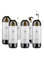 Fabig BIG Sauvignon Collection 2017-2023 (id:910002197)