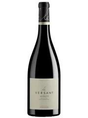 Foncalieu Merlot Le Versant 2021