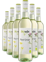 Set Biorebe Pinot Grigio 4+2 (id:910003659)
