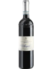 Costa di Bussia Langhe Nebbiolo 2021 (id:68632)