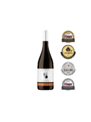 Kněží Hora Ryzlink vlašský Výběr z hroznů OAK 2022 (id:910003300)