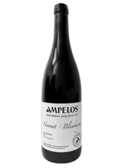 Ampelos Neronet Blauburger 2018 (id:30312)
