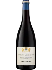 Thibault Liger-Belair Bourgogne Gamay 2021 (id:910002538)