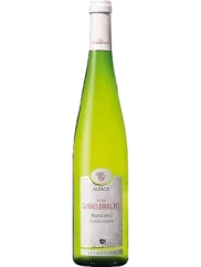 Willy Gisselbrecht Riesling Schieferberg Gisselbrecht 2020 (id:6647802)