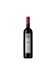 Bodegas Baigorri Rioja Mendi DOC 2022 (id:910003360)