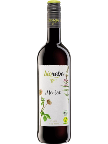 Biorebe Merlot 2024 (id:910003662)