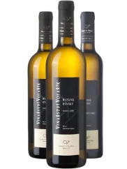 Set Volařík Vinař roku Trojka (id:910002496)