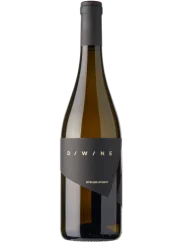 Diwine Ryzlink rýnský 2023 (id:910001387)