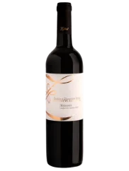 Zapletal Neronet 2019 (id:910000212)