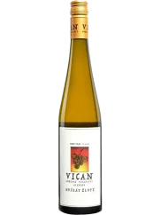 Vican Muškát žlutý Pozdní sběr 2023 (id:910001013)