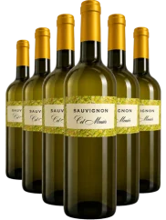 Set Col Monier Sauvignon Blanc 4+2 (id:910003664)